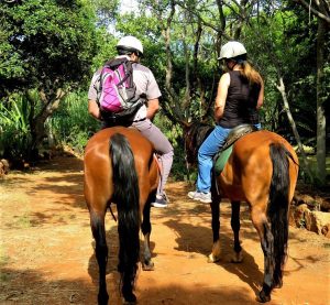 couples-riding-at-harties