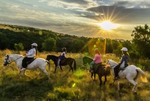 sunset-horseback-safari